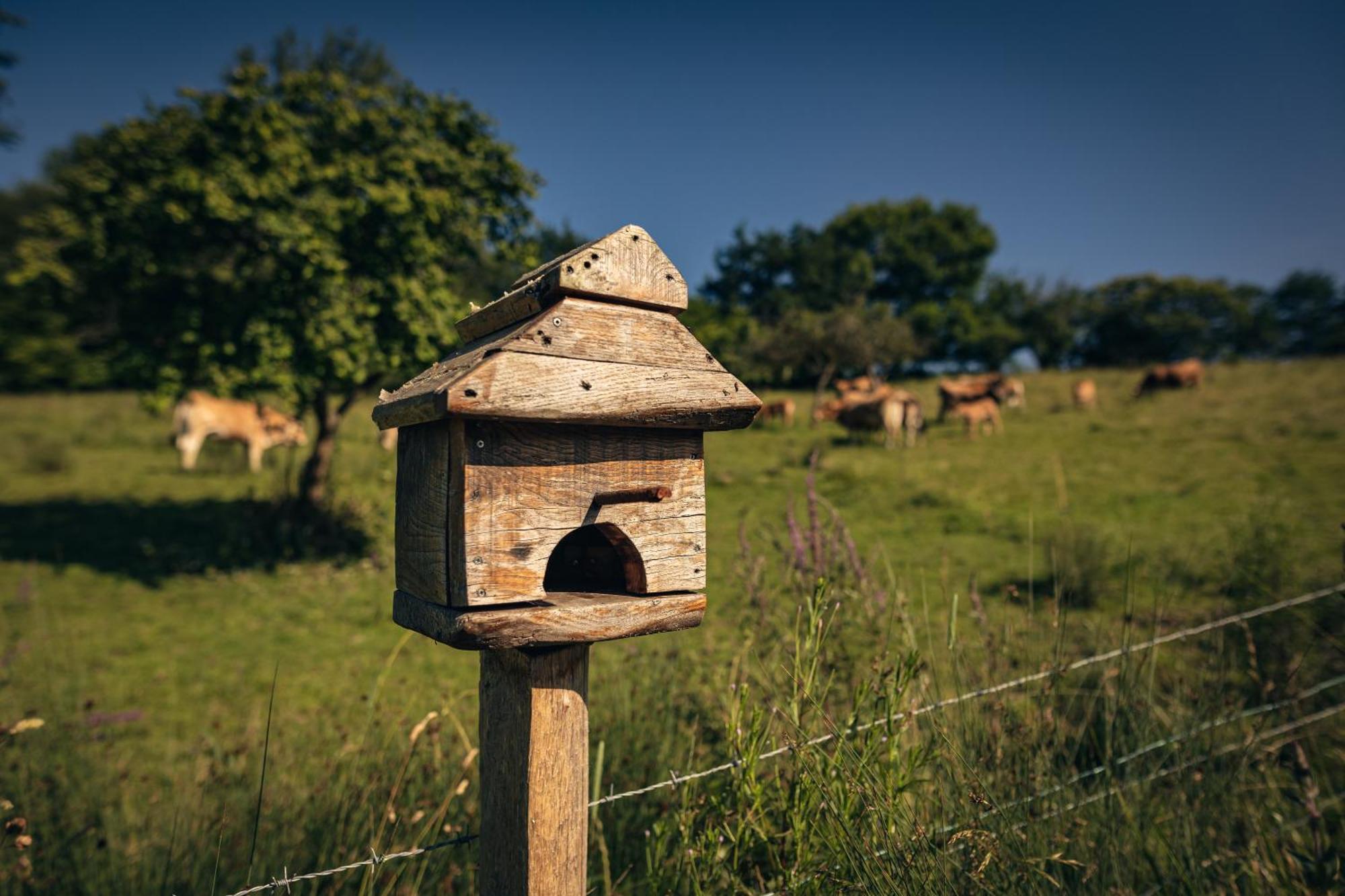 Finca La Naguada Casa Rural En Asturias Beloncio Екстериор снимка