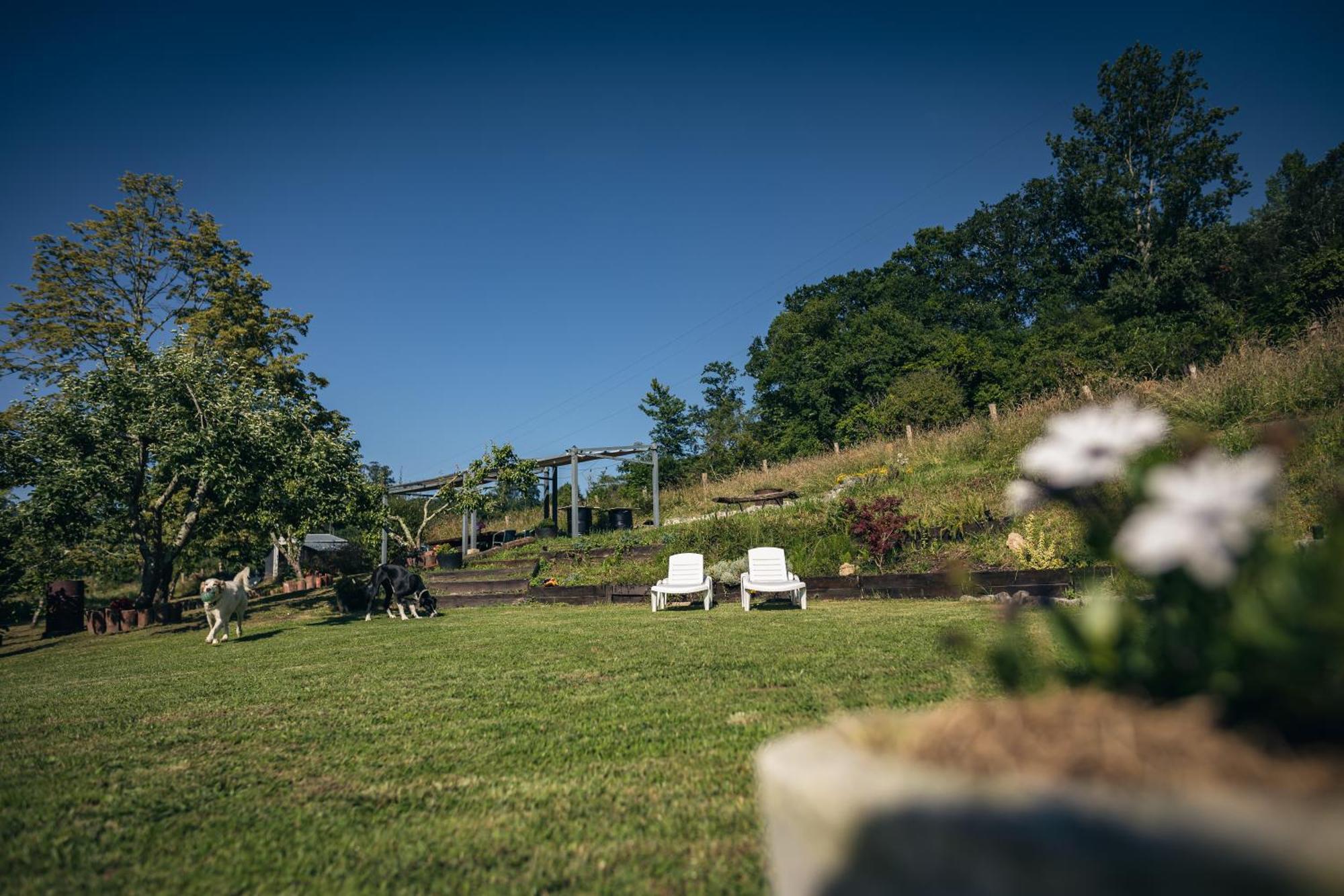Finca La Naguada Casa Rural En Asturias Beloncio Екстериор снимка