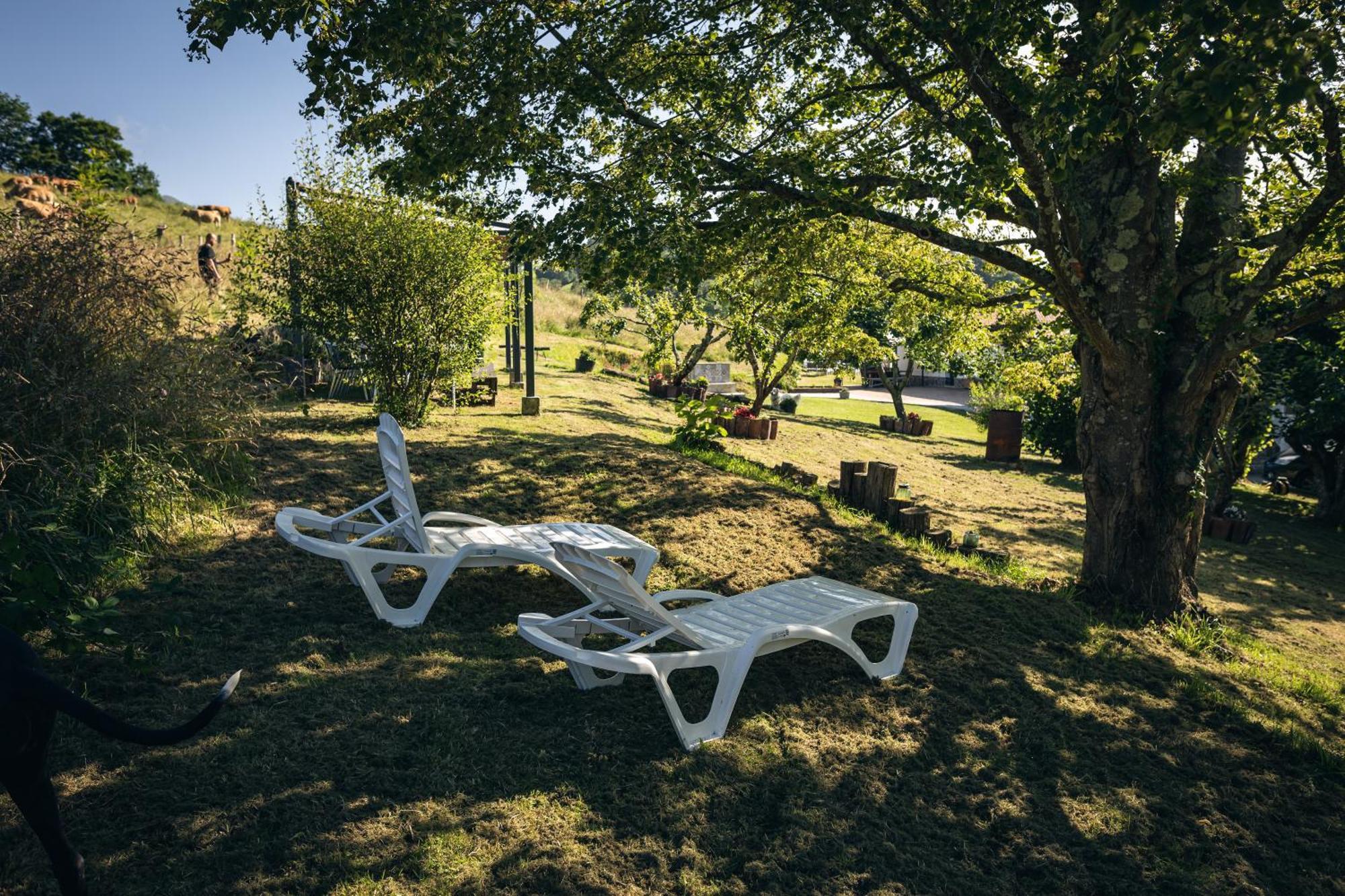 Finca La Naguada Casa Rural En Asturias Beloncio Екстериор снимка
