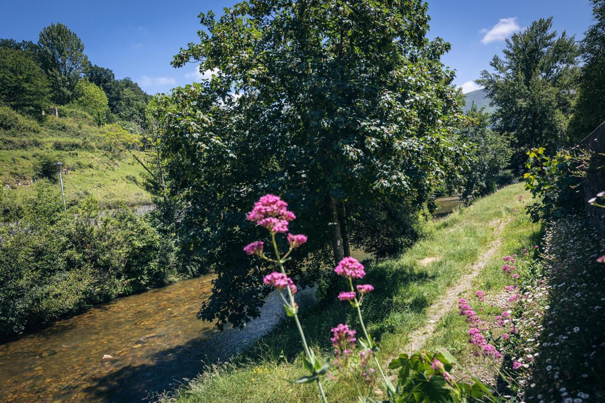 Finca La Naguada Casa Rural En Asturias Beloncio Екстериор снимка